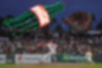 Sonny Gray